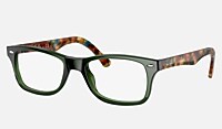 ray-ban green; tortoise_8053672604818