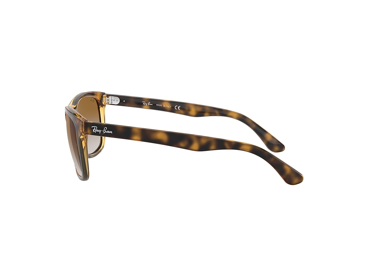 Ray ban 2024 4181 tortoise