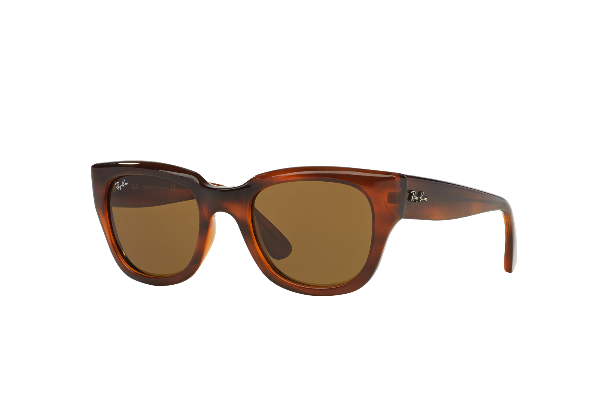 women's erika ray bans