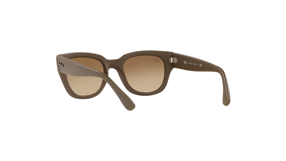 RB4178 Sunglasses in Tortoise and Brown - RB4178 | Ray-Ban® US