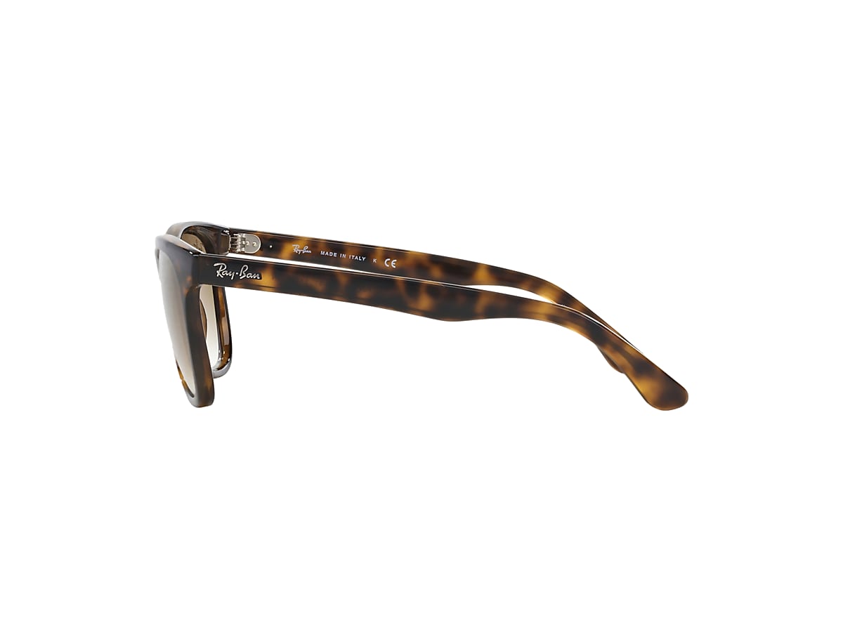 RB4184 Sunglasses in Light Havana and Crystal Brown - RB4184