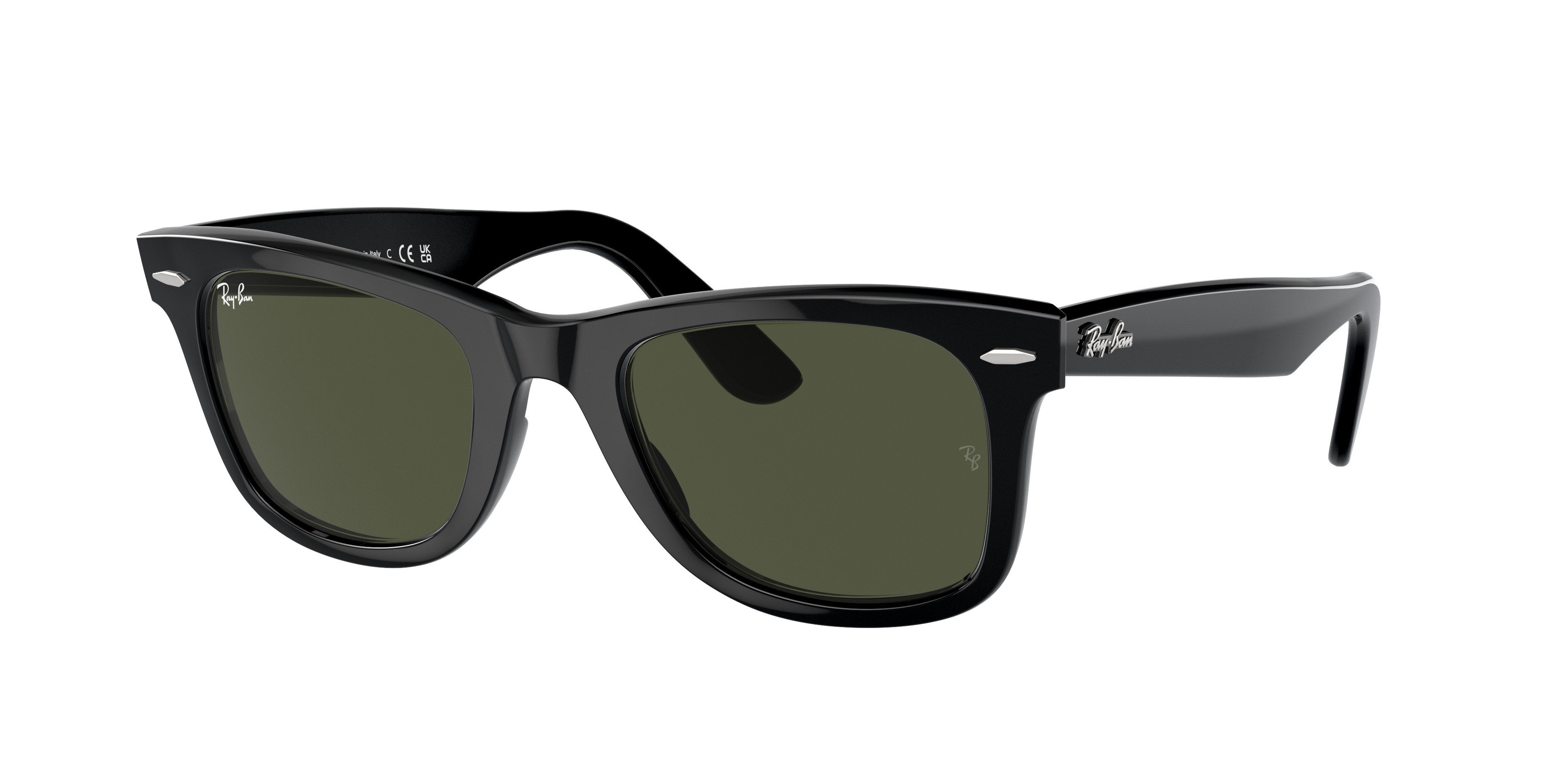 Bacteria Smash Mauve Original Wayfarer Classic Sunglasses in Black and Green | Ray-Ban®