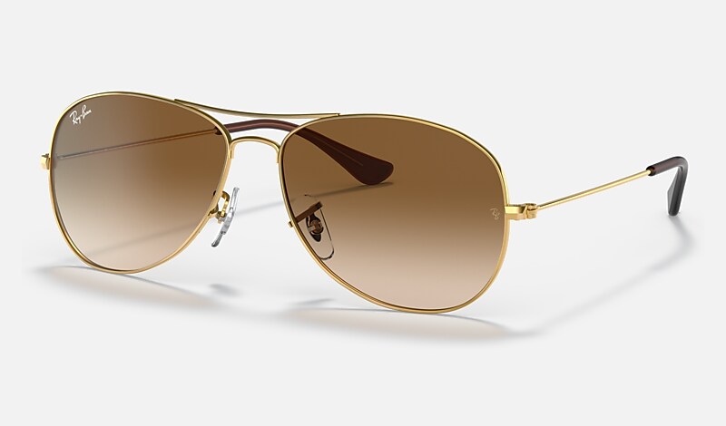 COCKPIT Sunglasses in Gold and Light Brown - RB3362 | Ray-Ban® US