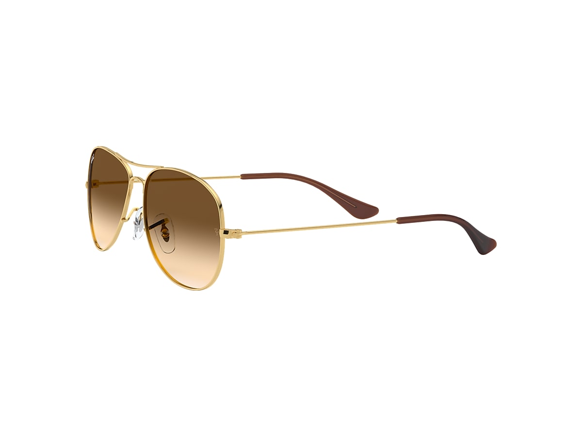 Reason documentary Savant Cockpit Sunglasses in Gold and Light Brown | Ray-Ban®