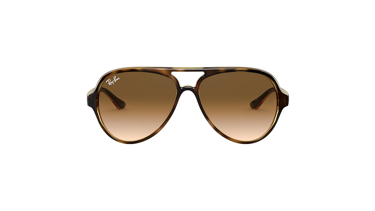 CATS 5000 CLASSIC Sunglasses in Light Havana and Brown - RB4125 | Ray-Ban®  US