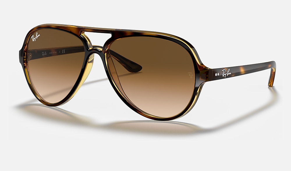 Ray-Ban 5000 Classic RB4125 Tortoise - Injected Light Brown Lenses - 59 | Ray-Ban® USA