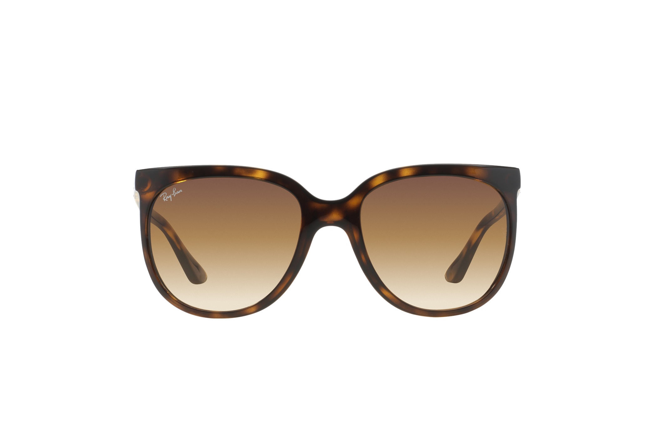 ray ban cats 1000 tortoise