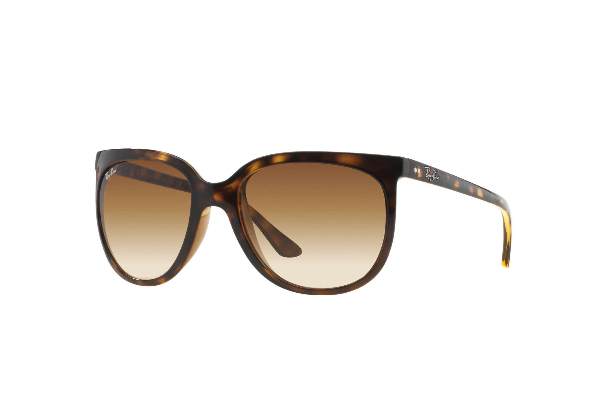 ray ban cats 1000 tortoise