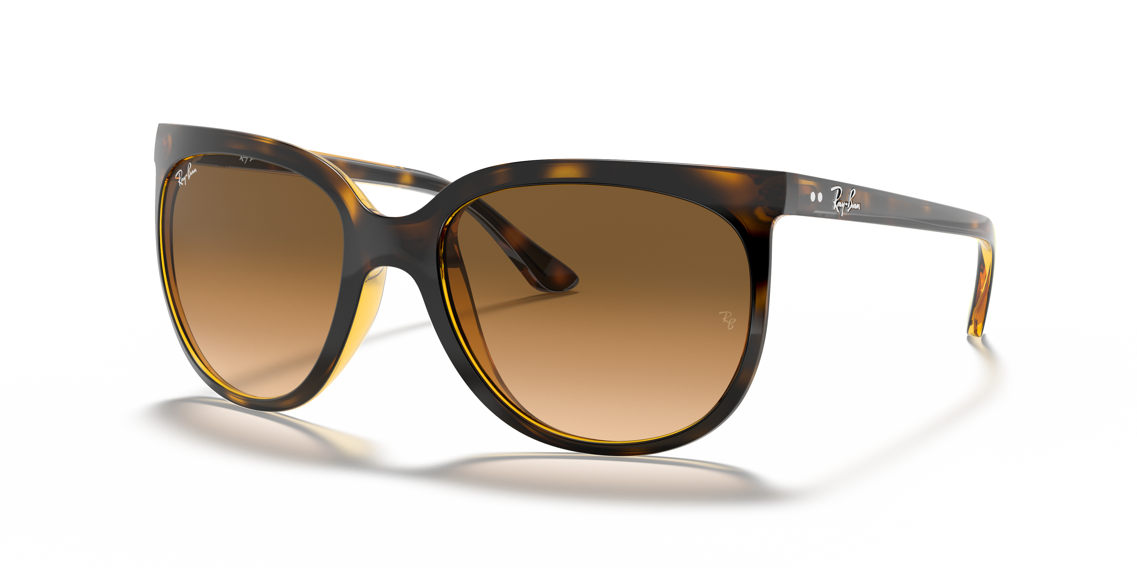 ray ban cats 1000 tortoise