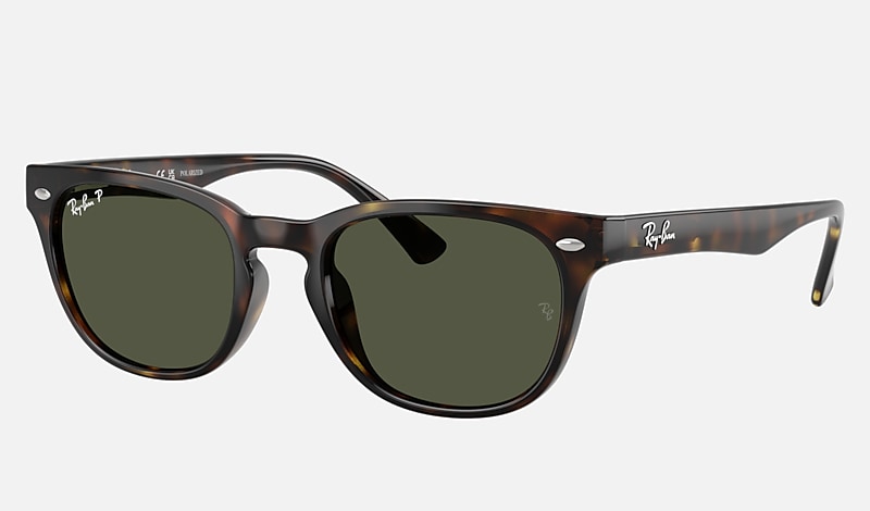 Ray ban 2024 light havana