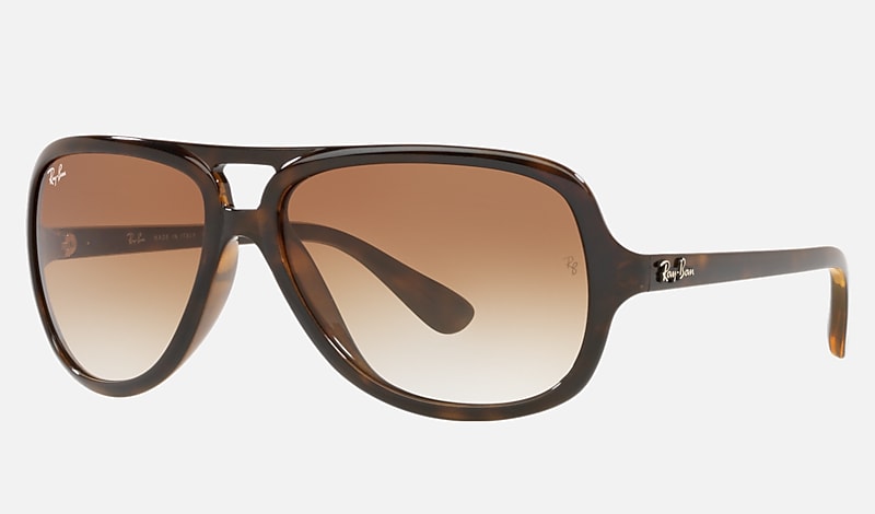 RB4162 Sunglasses in and Brown RB4162 | Ray-Ban® US
