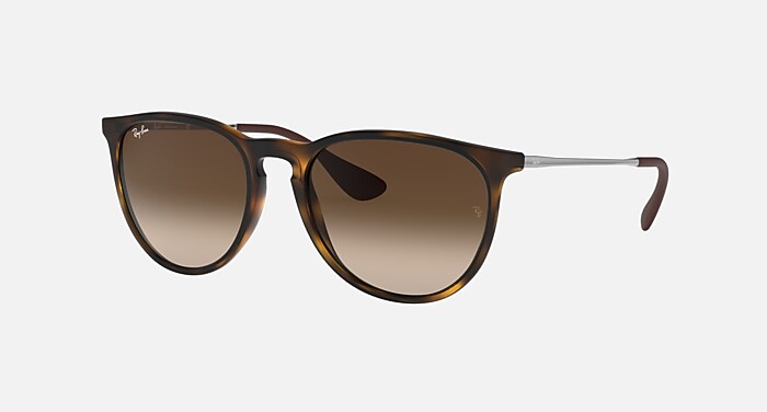 RB4226 Sunglasses in Black On Transparent and G-15 Green Polarized