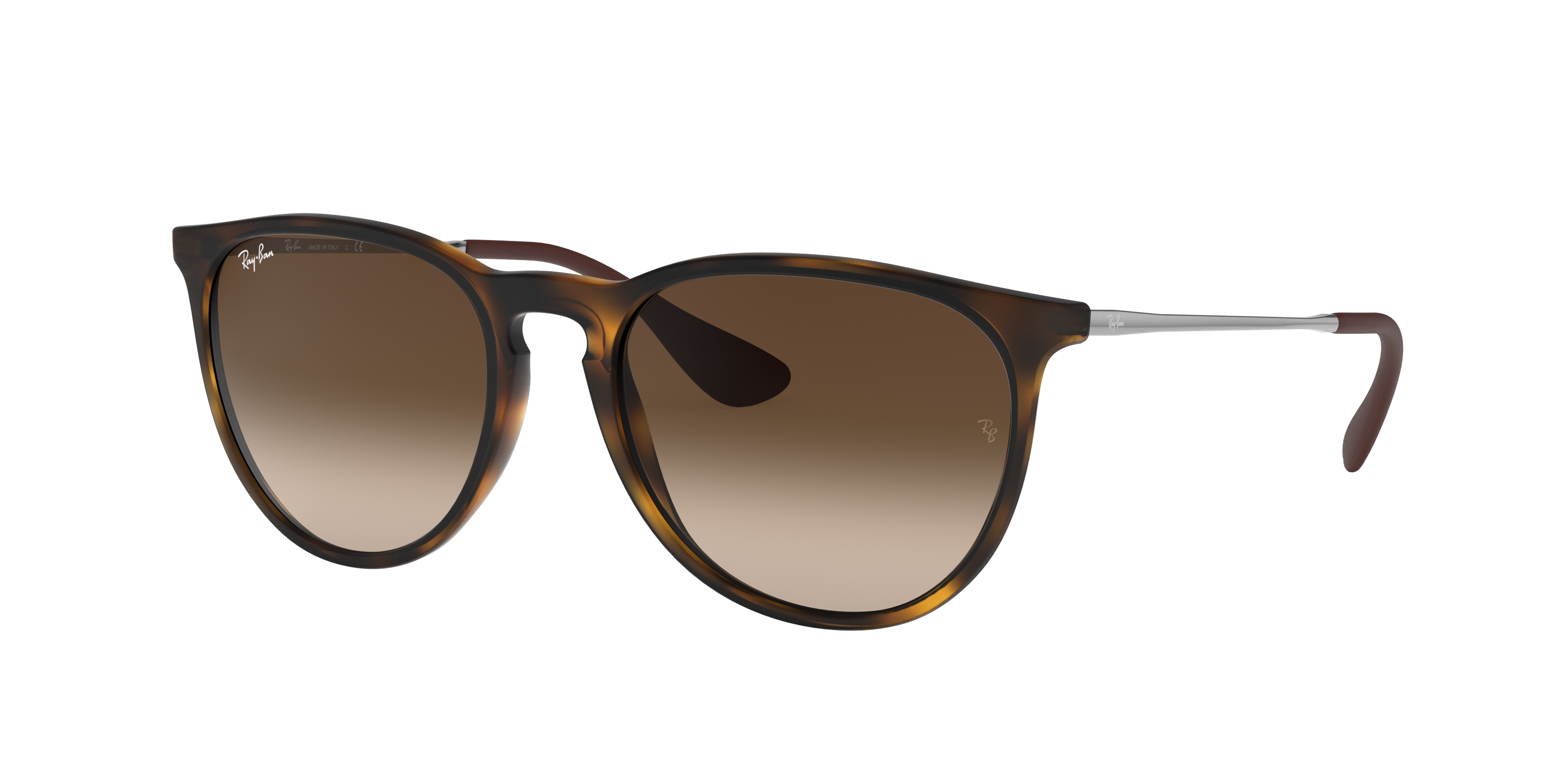 Erika Classic Sunglasses in Havana and Brown Ray-Ban®