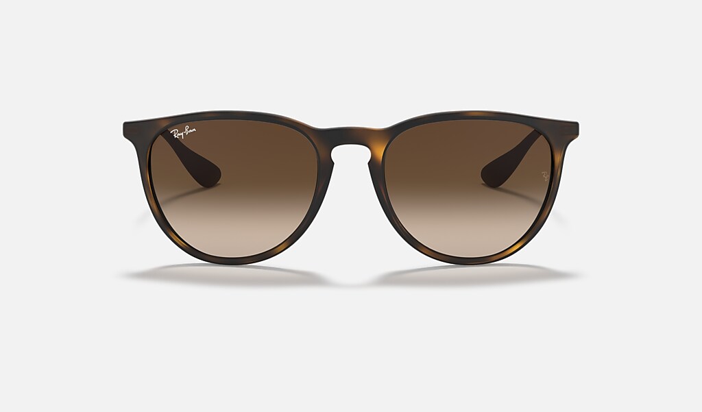 stil Trek koolstof Erika Classic Sunglasses in Havana and Brown - RB4171 | Ray-Ban® US