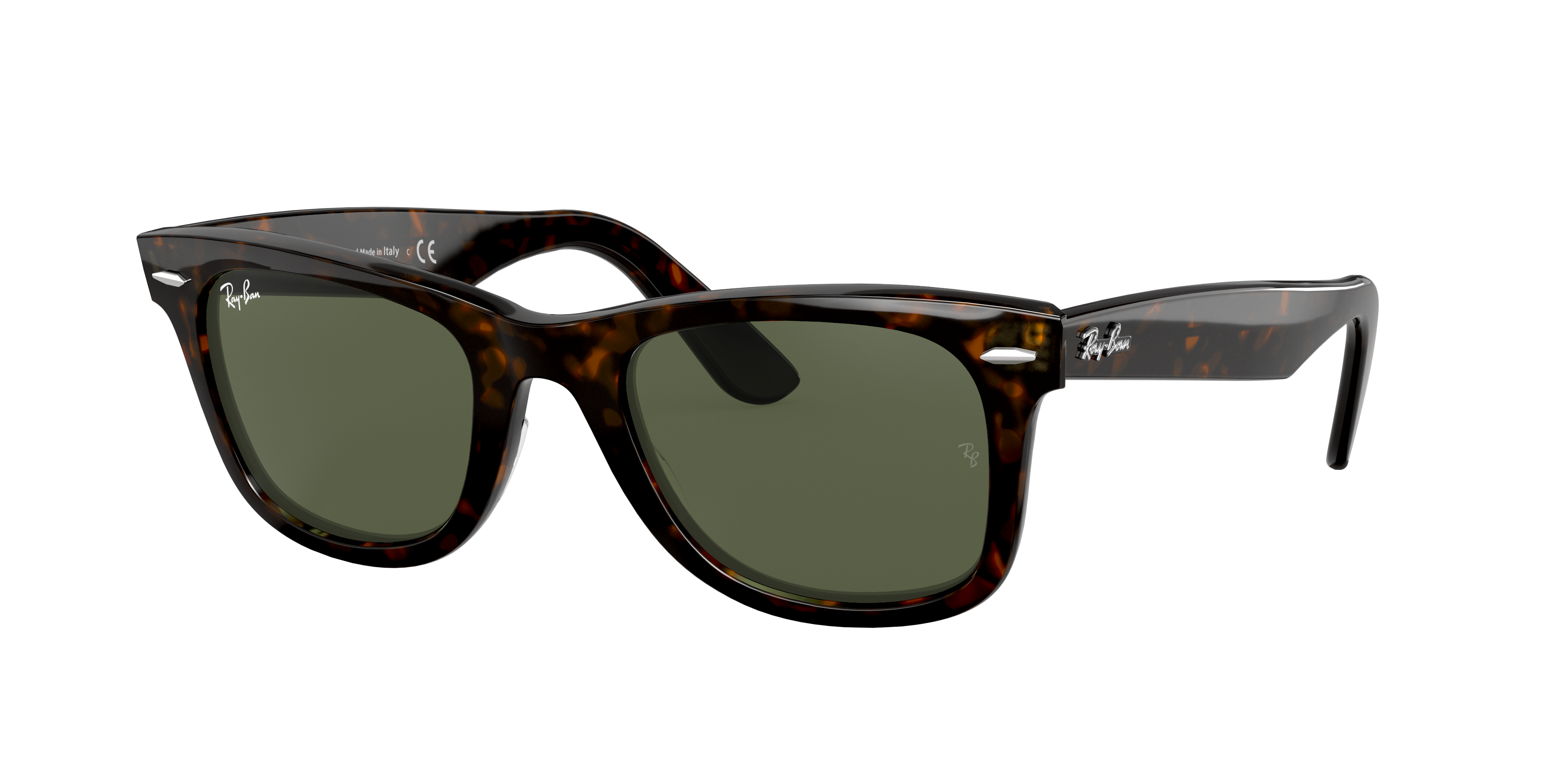 Tortoise Sunglasses in G15 Green and Original Wayfarer Classic