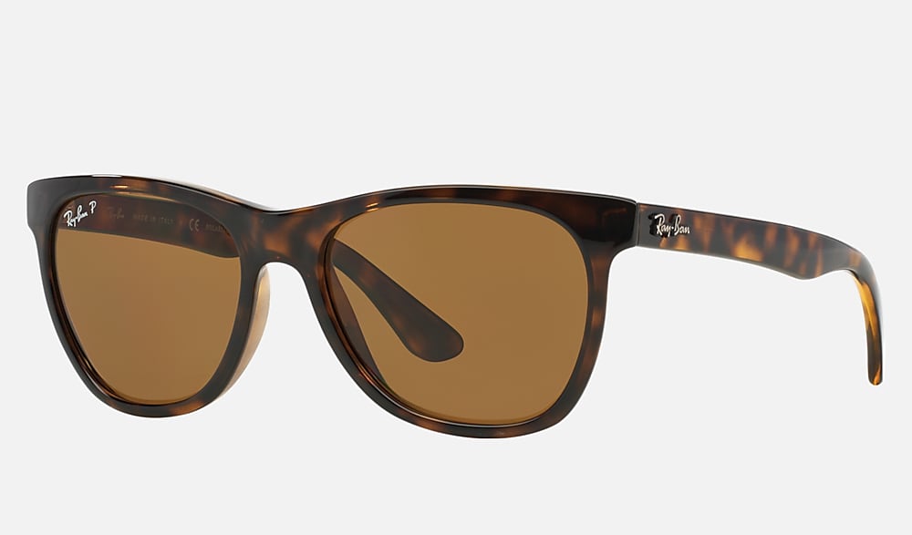 Rb4184 Sunglasses in Tortoise and Brown | Ray-Ban®