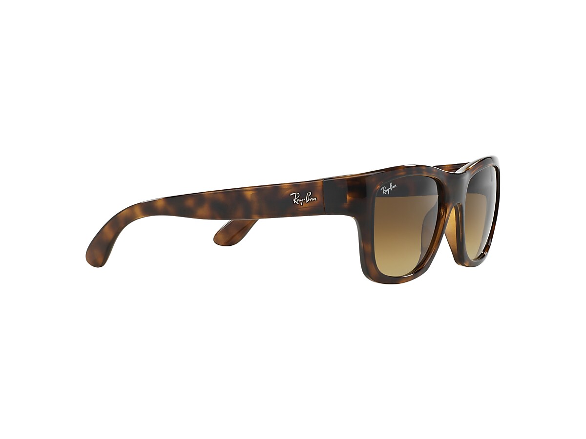 Ray ban hot sale 4194 polarized