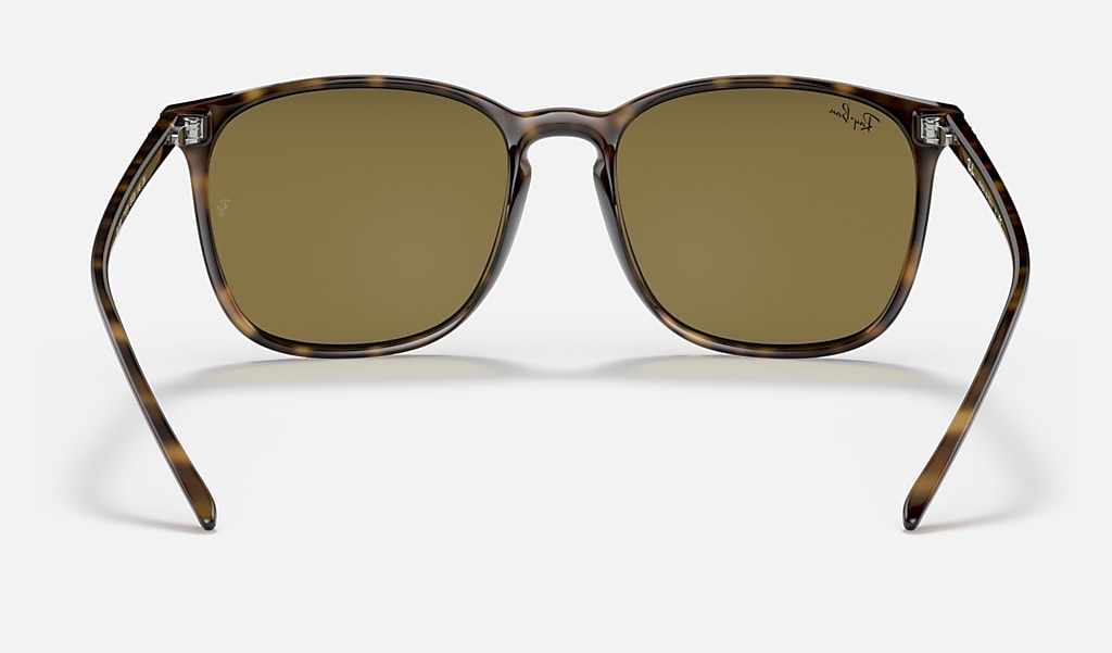 Rb4387 Sunglasses in Light Havana and Dark Brown | Ray-Ban®
