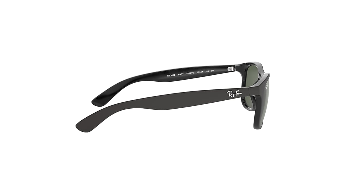 ANDY Sunglasses in Black and Green - RB4202 | Ray-Ban® NO