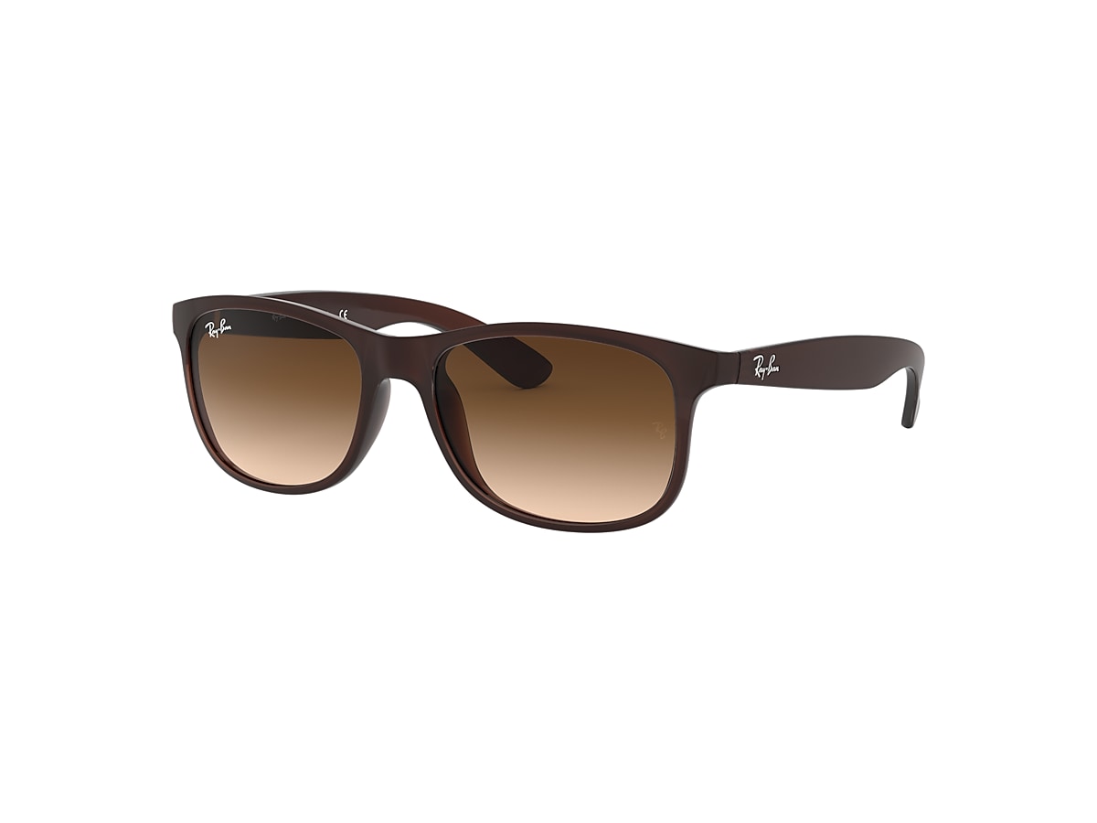 Tektonisch Behandeling Bewijs Andy Sunglasses in Brown and Brown | Ray-Ban®