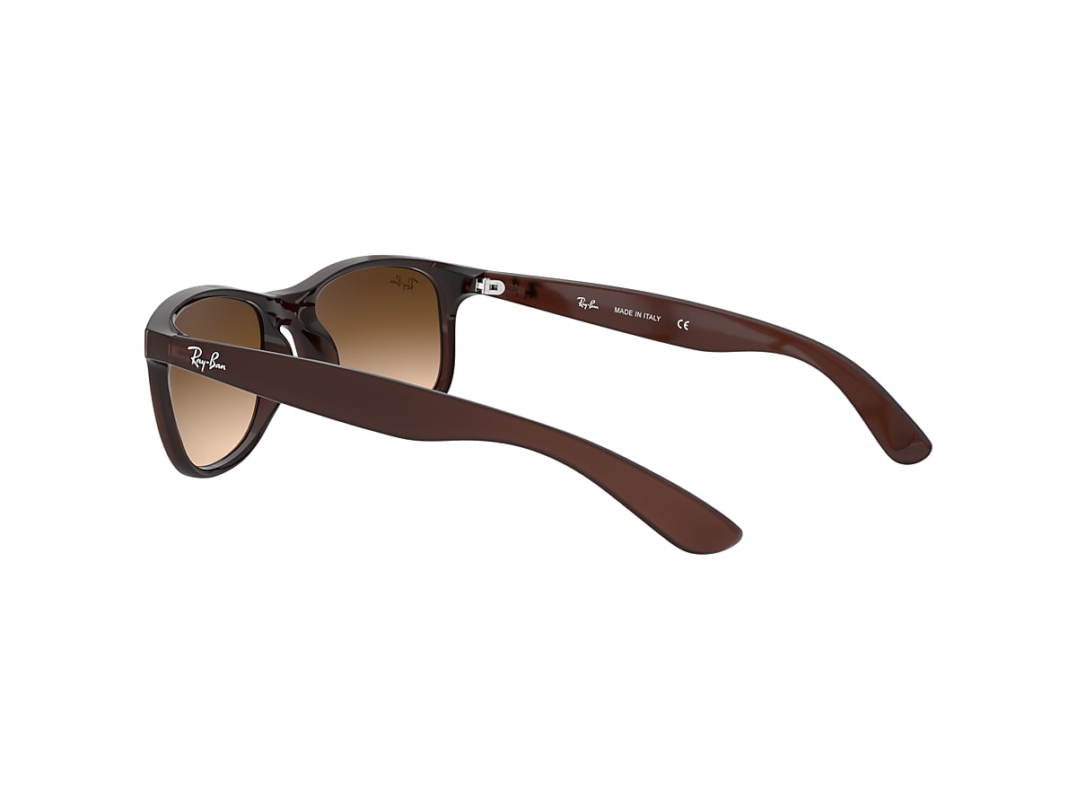 ANDY Sunglasses in Brown and Brown Gradient - RB4202 | Ray