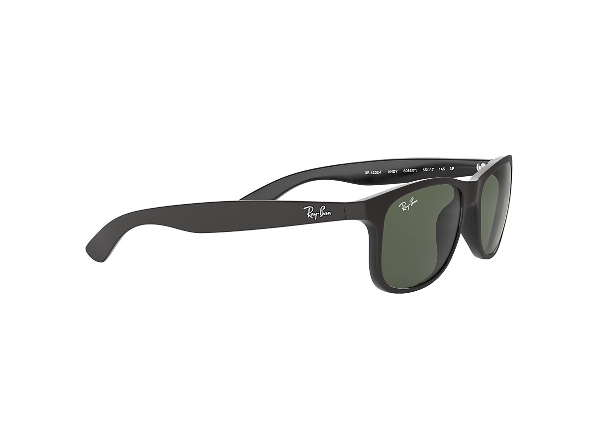 T14 RayBan RB4202-F 6069/71 gorilla.family