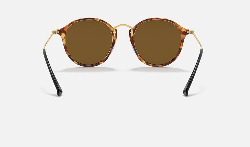 Round Fleck Sunglasses in Brown Havana and Brown | Ray-Ban®
