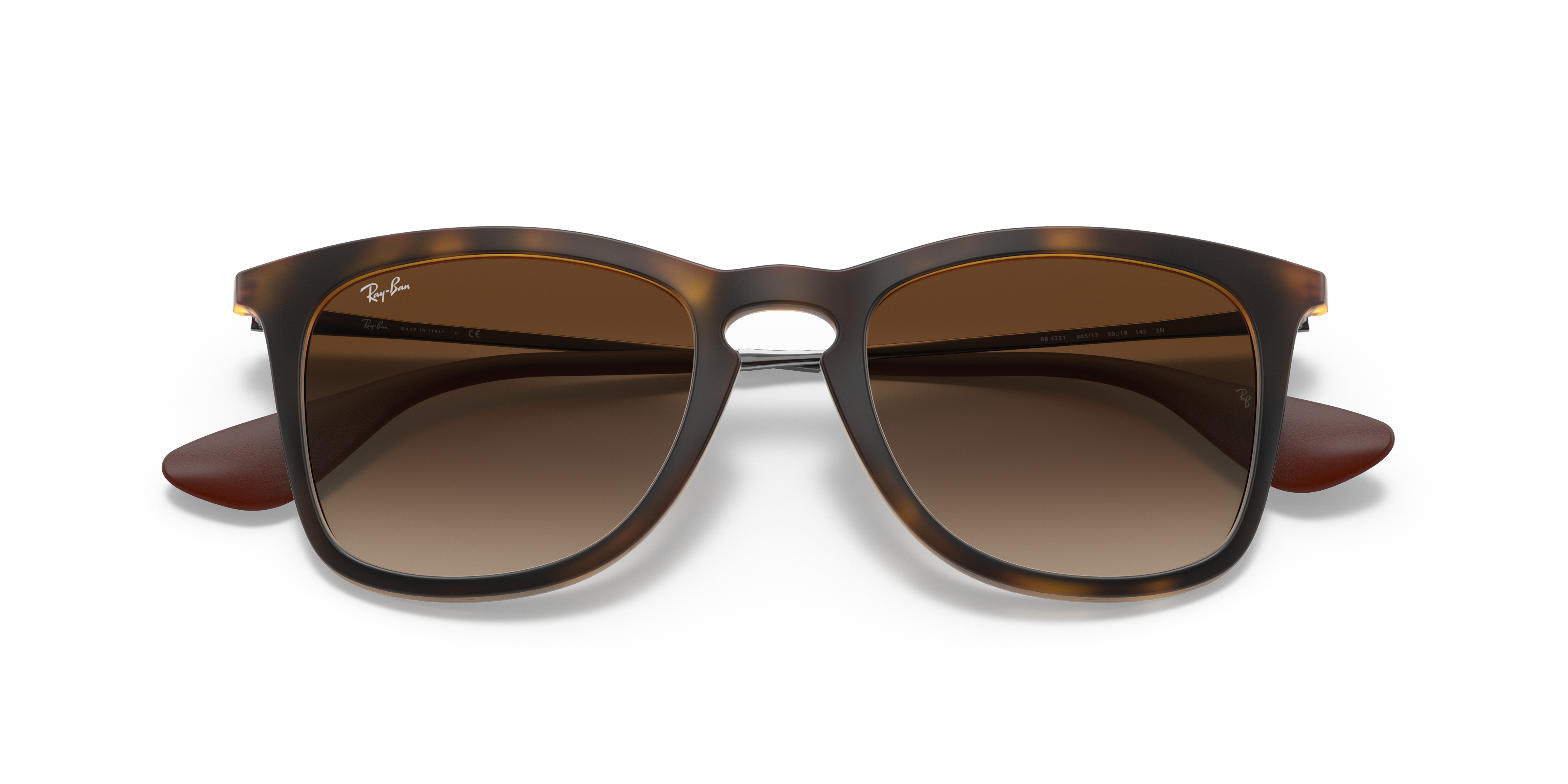 Rb4221 Sunglasses in Tortoise and Brown 