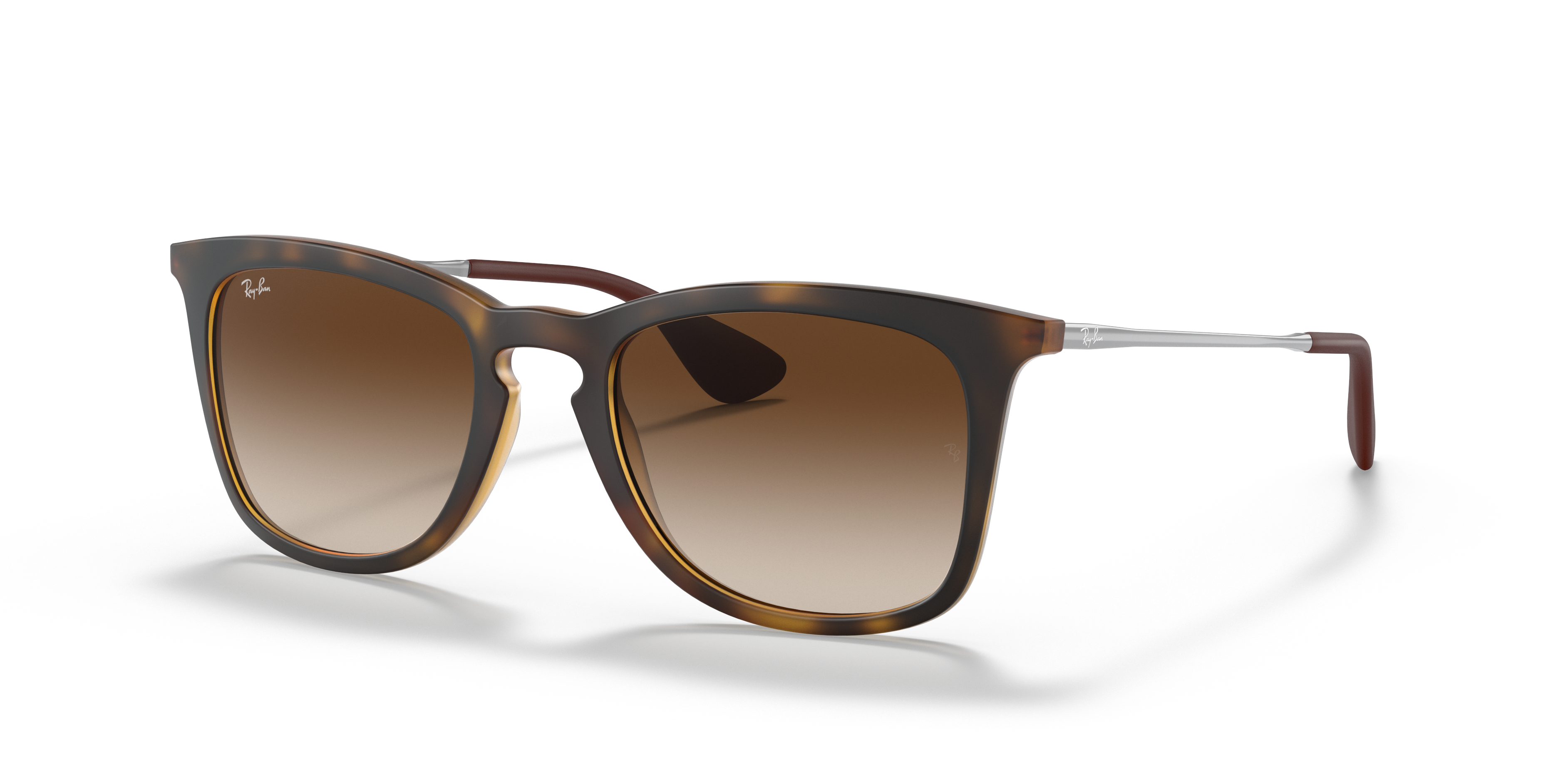 ray ban 4221 polarized