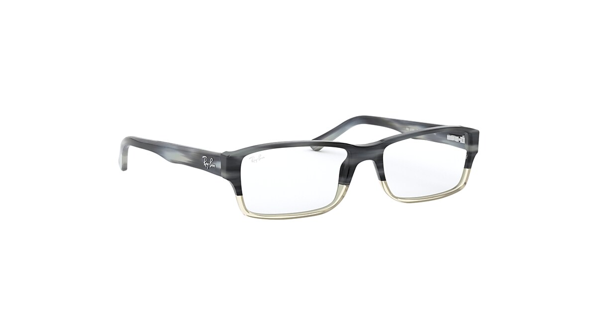 Ray cheap ban 5169