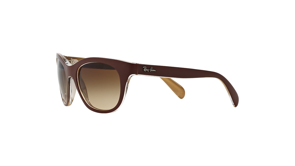 Rb4216 Sunglasses in Brown and Brown | Ray-Ban®