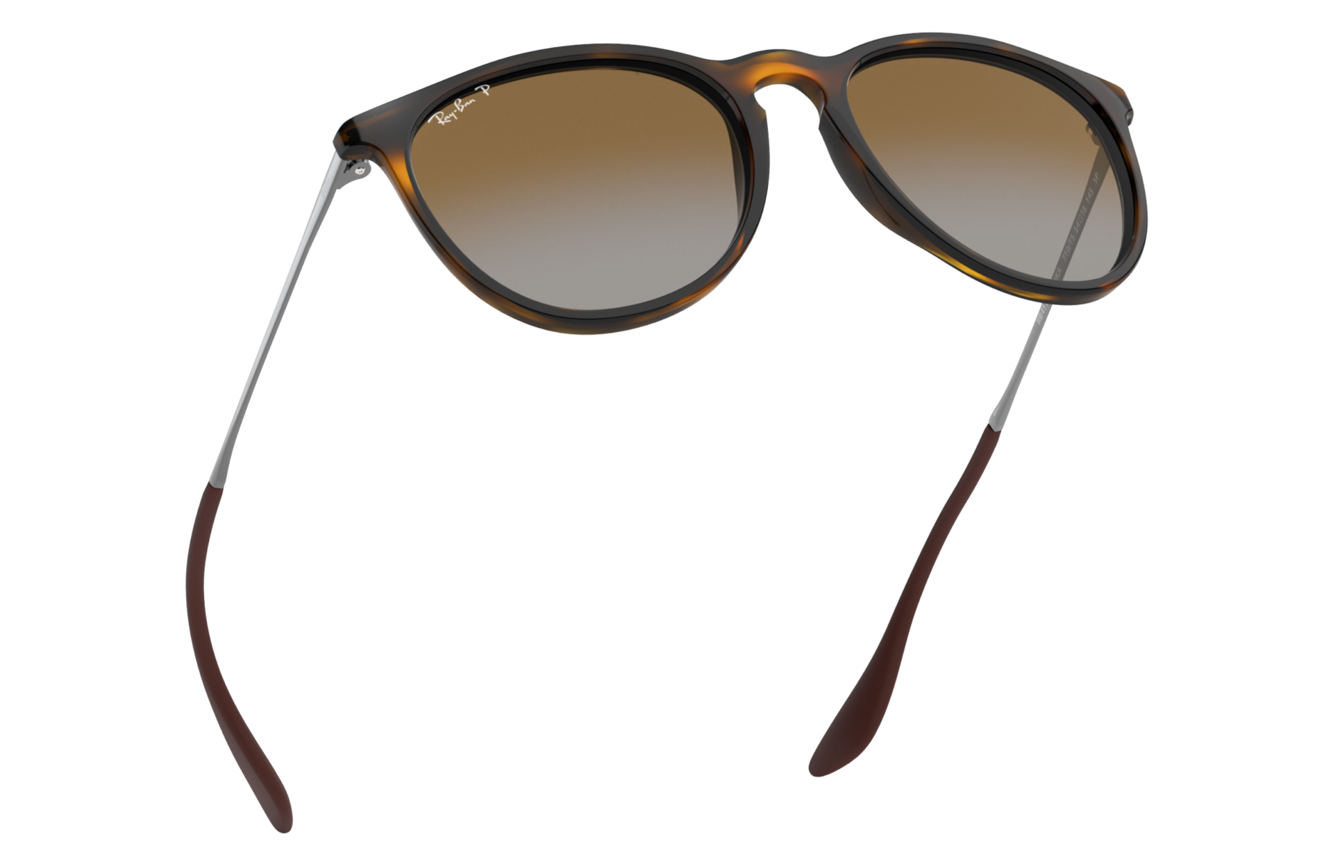Erika Classic Sunglasses in Tortoise 