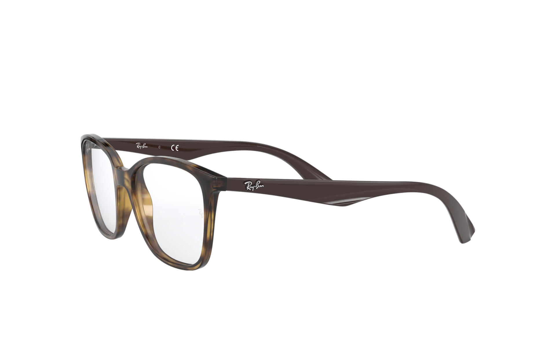 Rb7066 Eyeglasses with Tortoise Frame 