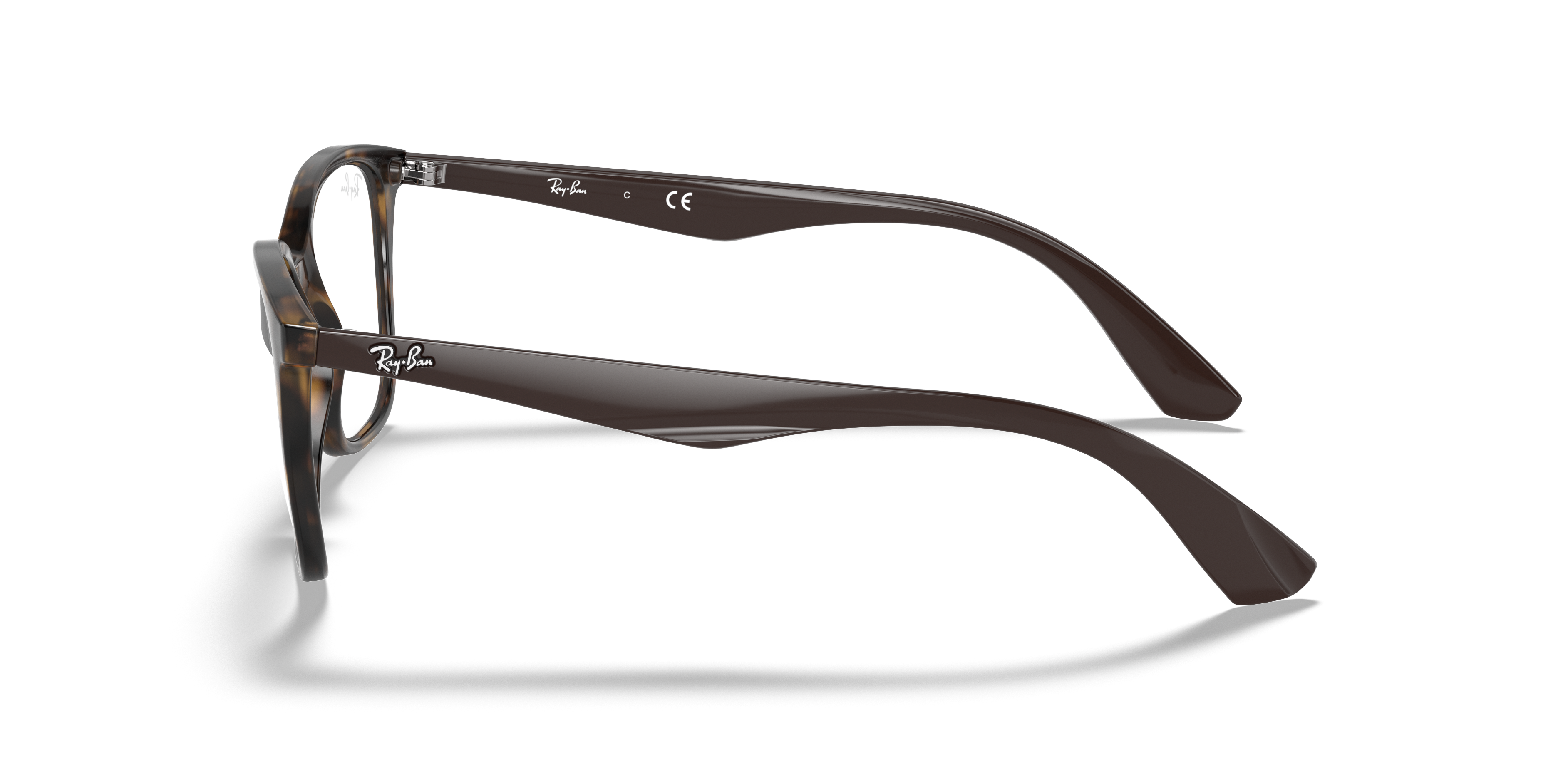 Rb7066 Eyeglasses with Tortoise Frame 