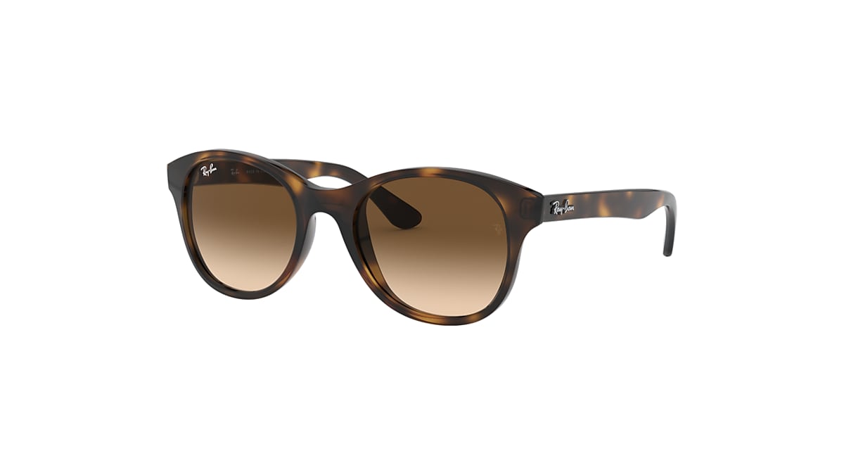RB4203 Sunglasses in Light Havana and Brown Gradient Dark