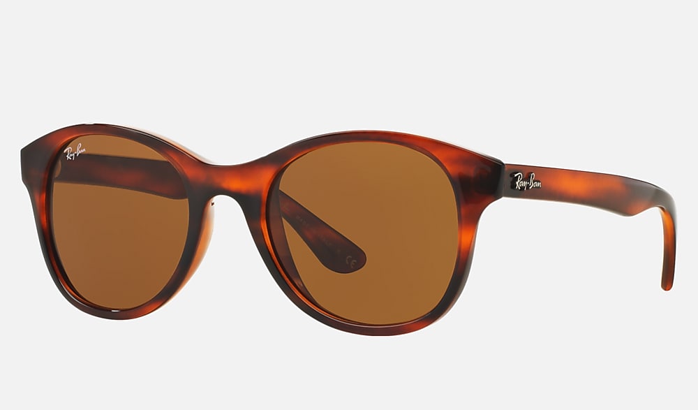 RB4203 Sunglasses in Tortoise and B-15 Brown - RB4203 | Ray-Ban®