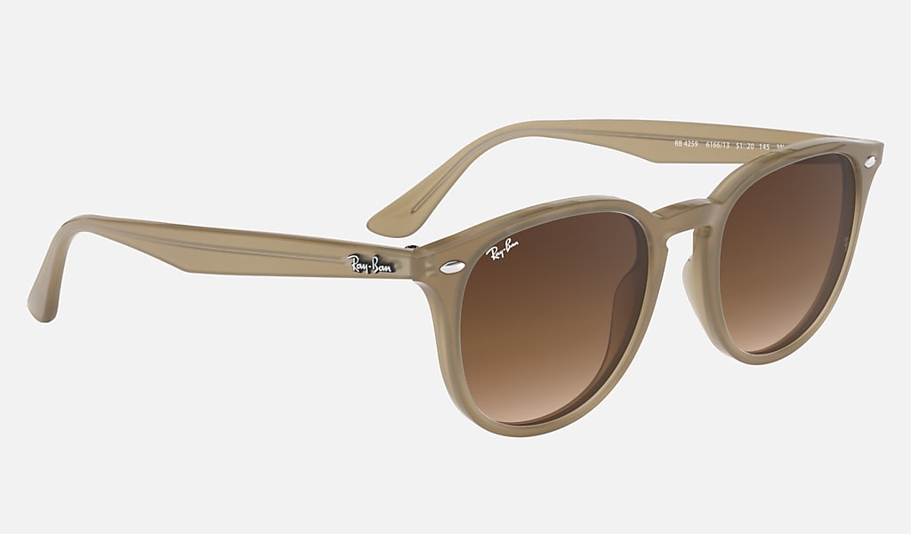 Sinis perspectief Harde ring Rb4259 Sunglasses in Beige and Brown | Ray-Ban®