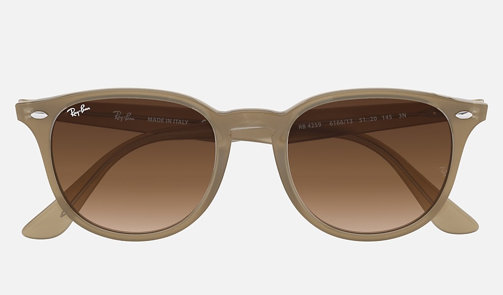 moreel Beperken vloek Rb4259 Sunglasses in Beige and Brown | Ray-Ban®