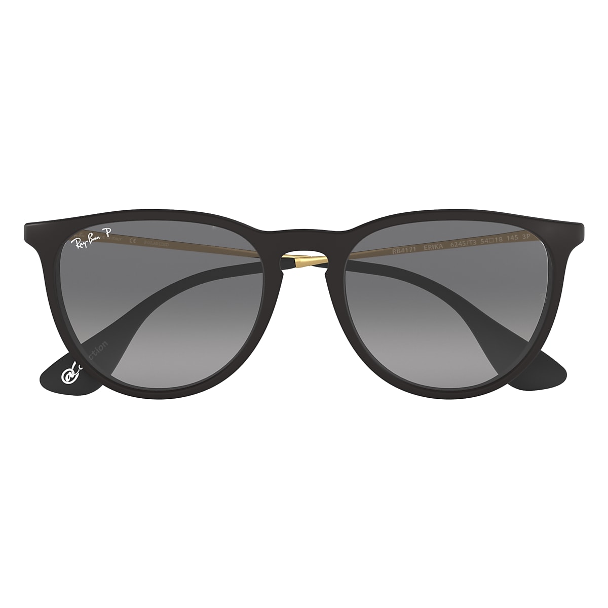 ERIKA @COLLECTION Sunglasses in Black and Black - RB4171 | Ray-Ban® EU