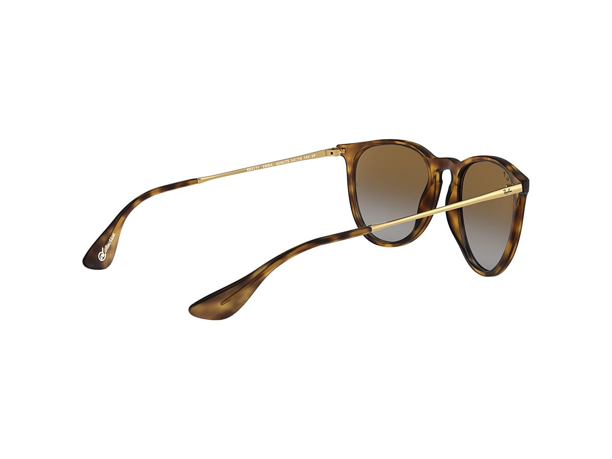 Ray-Ban Sunglasses Erika @collection Gold Frame Brown Lenses
