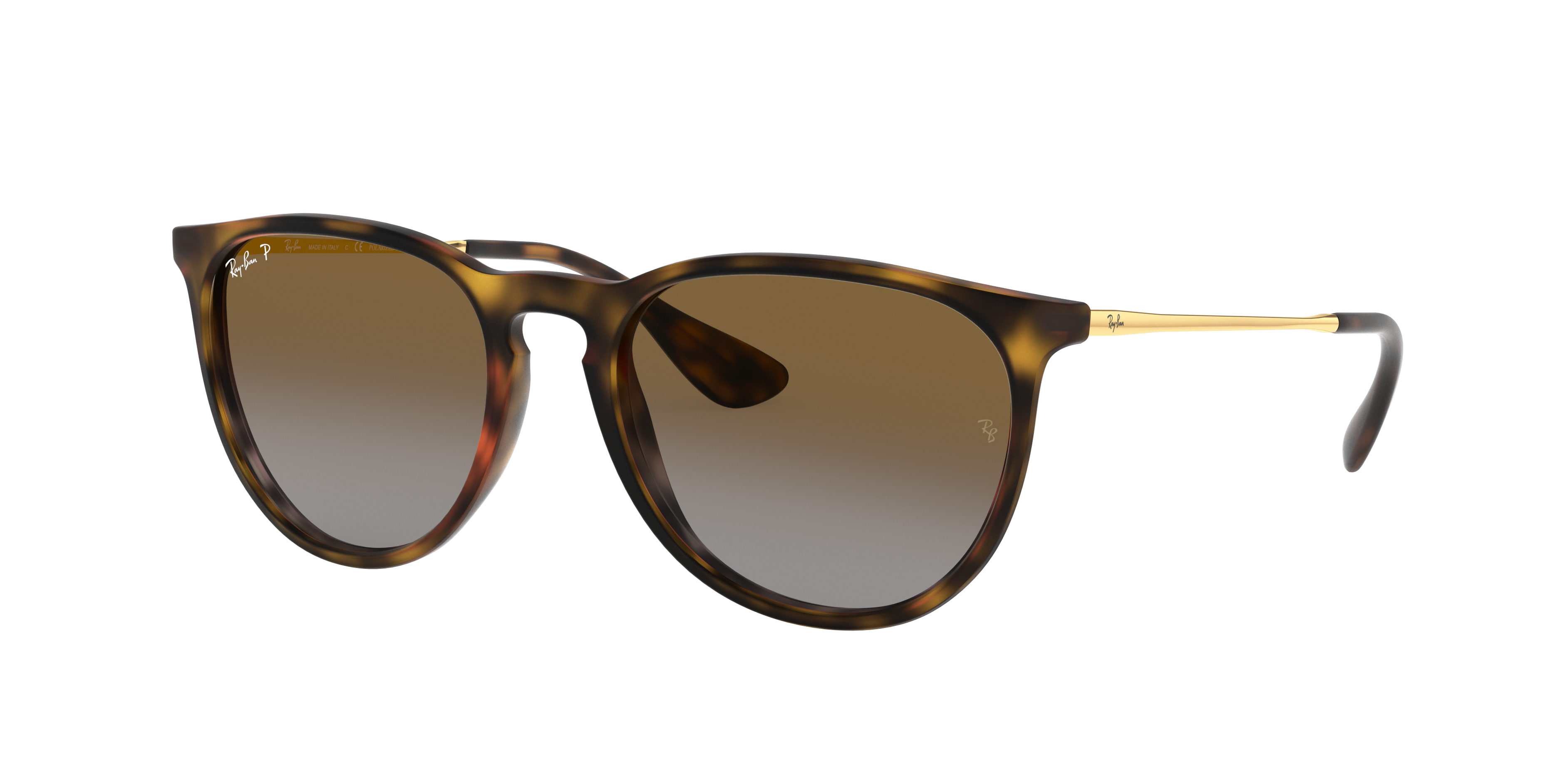 Merchandiser race Archaic Erika @collection Sunglasses in Tortoise and Brown | Ray-Ban®