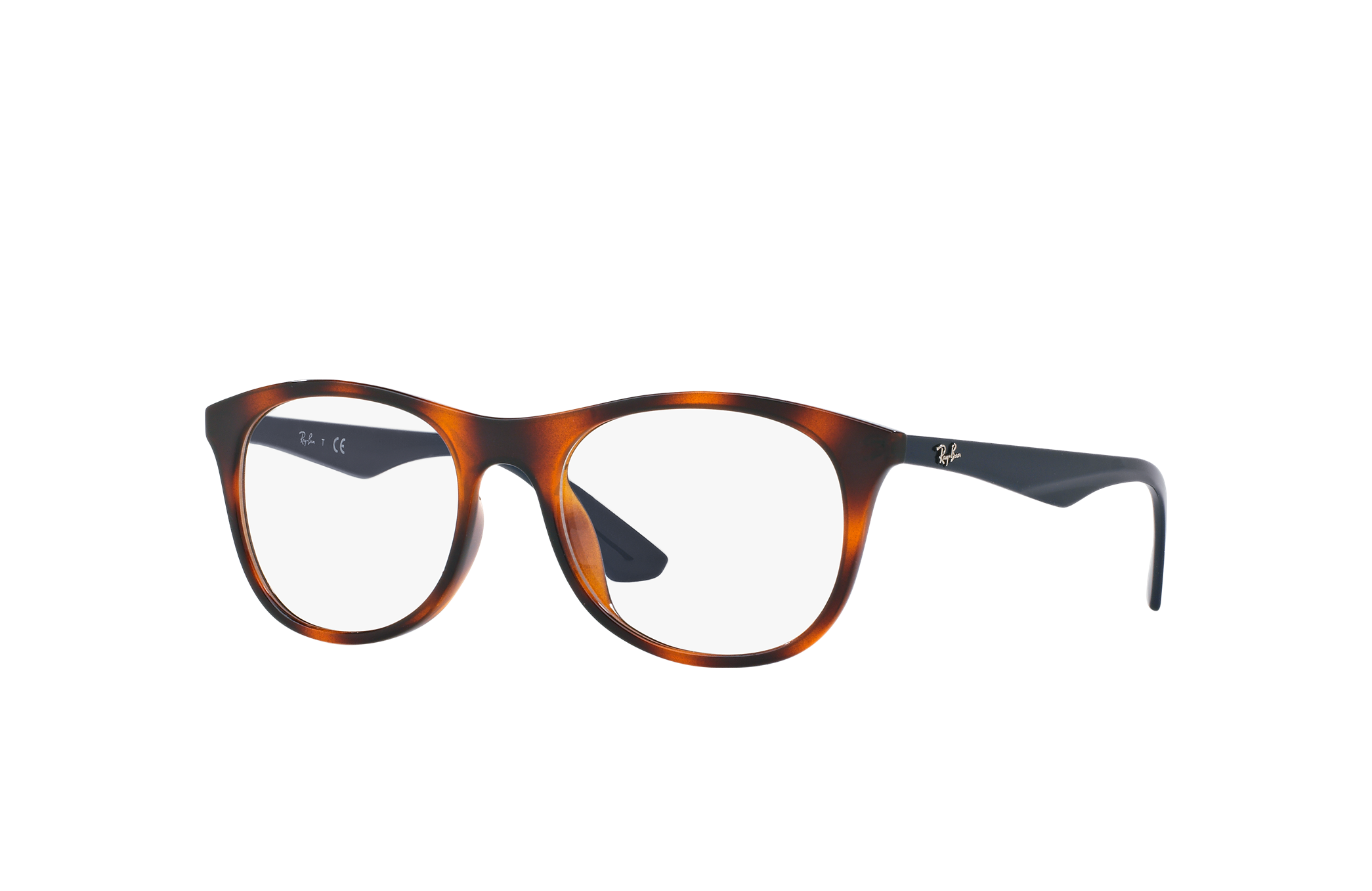 ray ban injected sunglasses