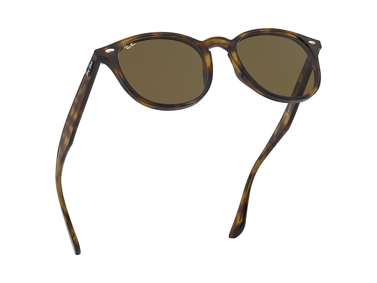 RB4259 Sunglasses in Light Havana and Brown - RB4259F | Ray-Ban® US