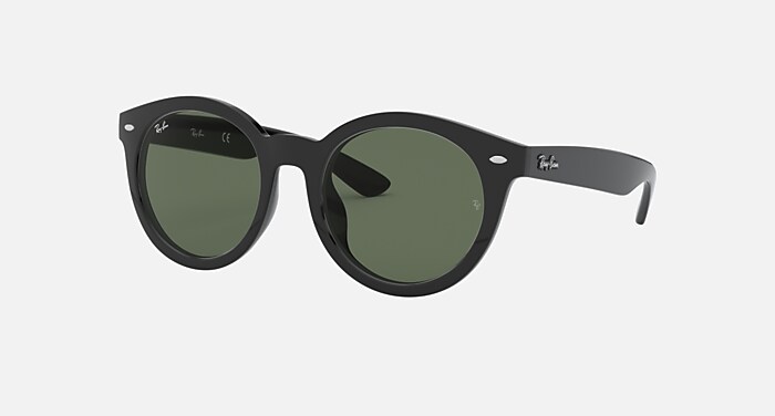 【限定セール！】 Green and Black in Sunglasses RB4261D Classic RB4261D - 小物