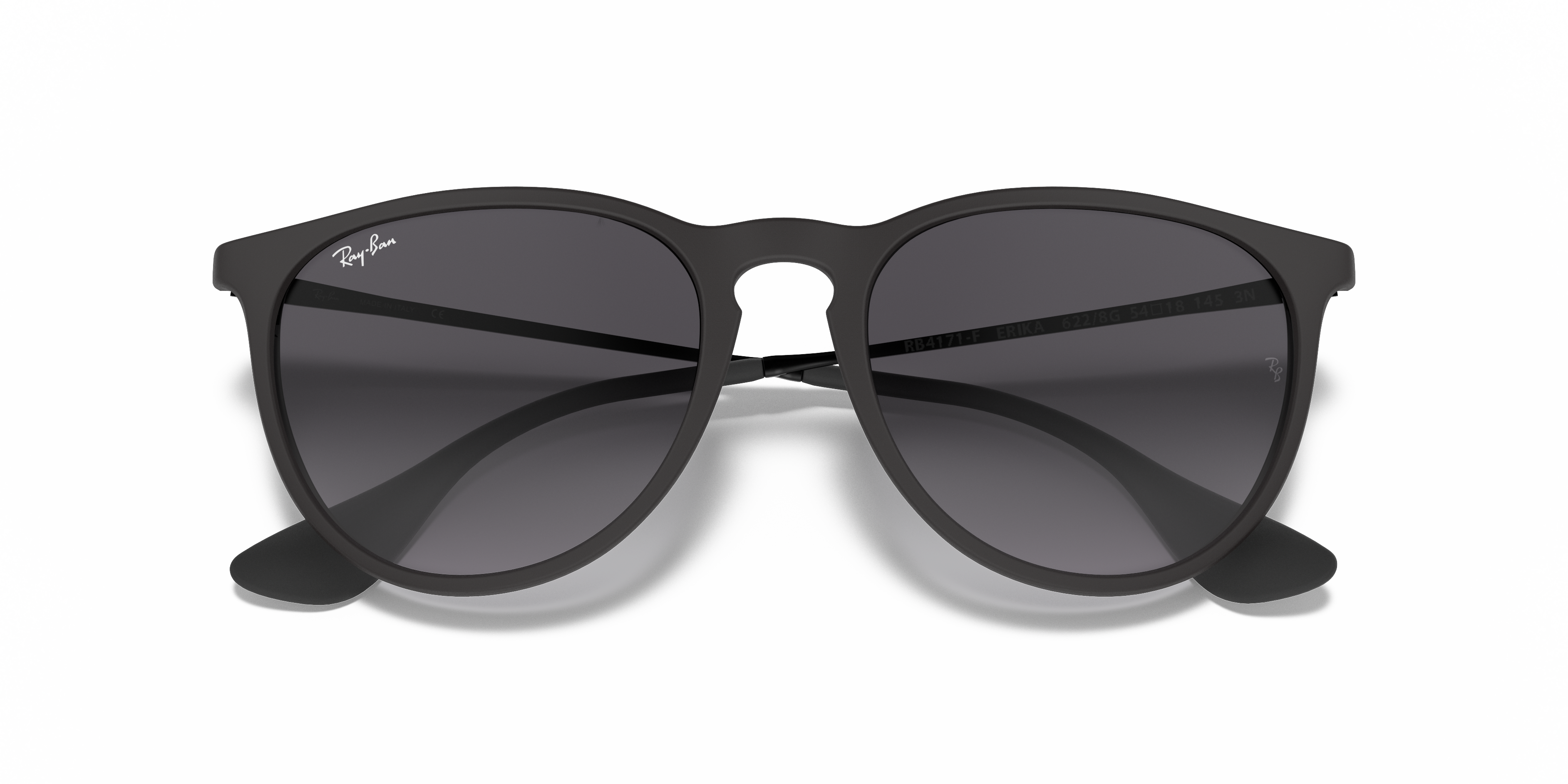 ray ban erika classic black