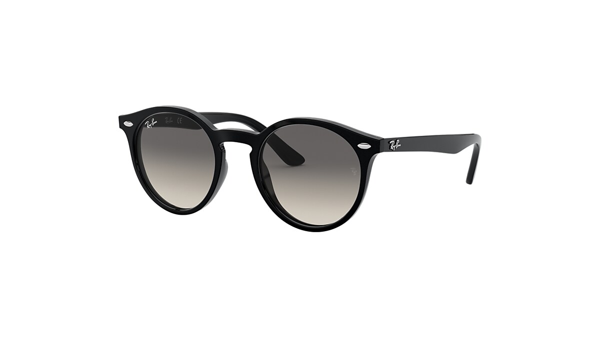 Remix LL Ion Dragon Sunglasses - Dragon