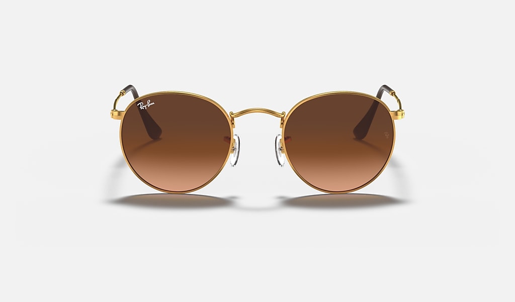 pleegouders genezen Geven Round Metal Sunglasses in Light Bronze and Pink/Brown | Ray-Ban®