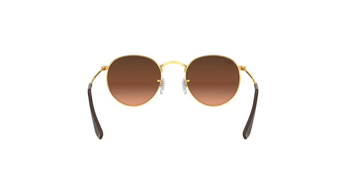 ROUND METAL Sunglasses in Light Bronze and Brown RB3447 Ray