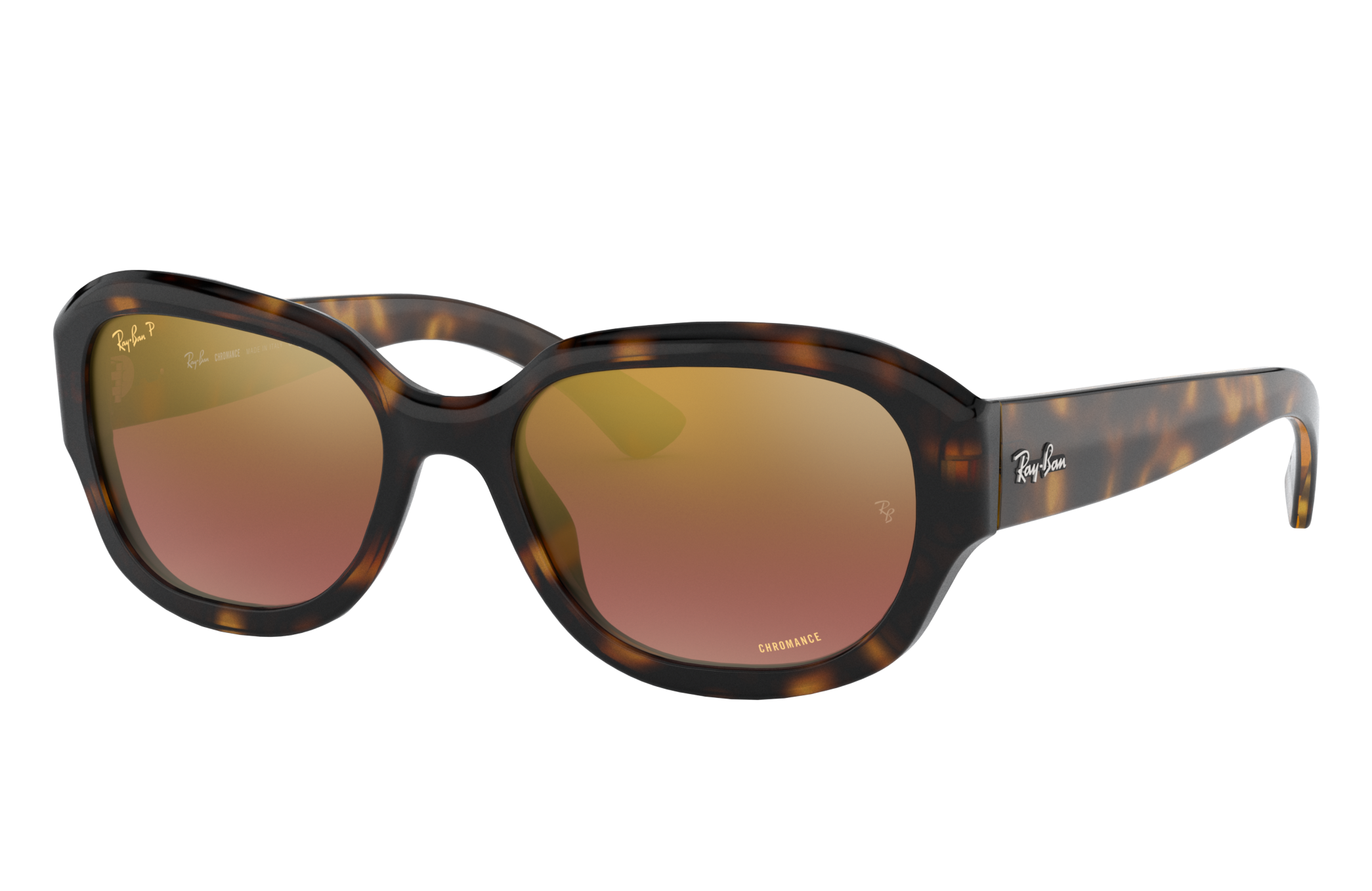 ray ban chinese new year edition