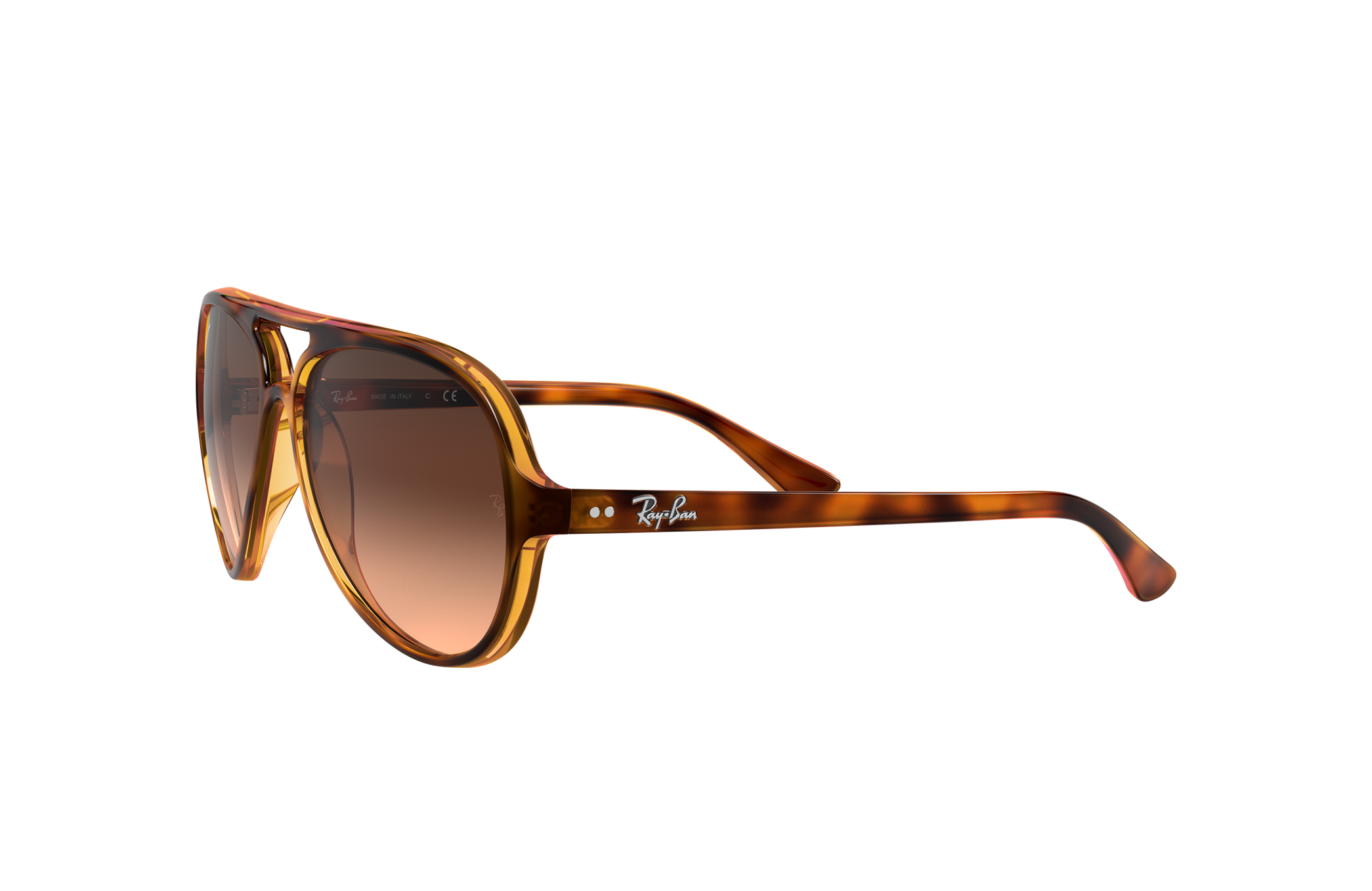 Cats 5000 Classic Sunglasses in 